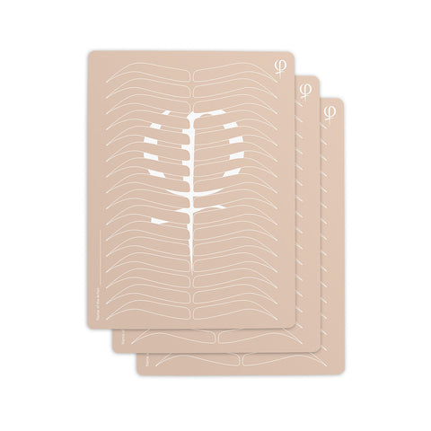 Practising Latex printed shape and outlines 3pcs