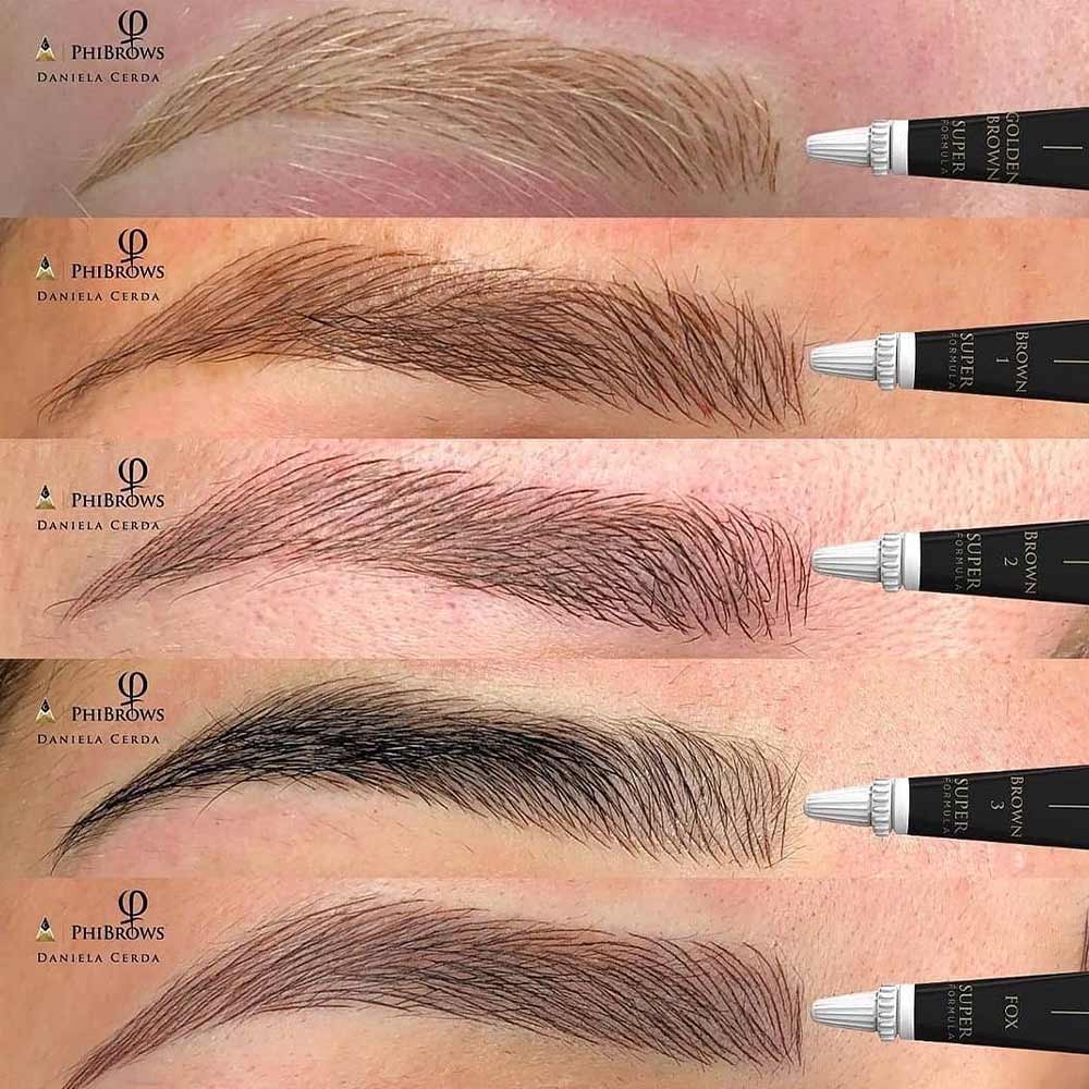 5 cejas mostrando los diferentes tonos de pigmento, por Daniela Cerda 5 cejas mostrando los diferentes tonos de pigmento, por Daniela Cerda